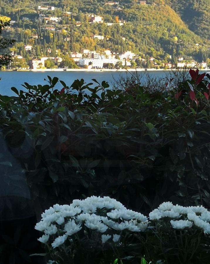 B&B Le Farfalle San Felice del Benaco Esterno foto